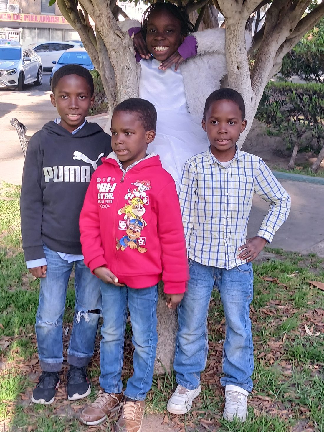 Our four youngest by the big tree
